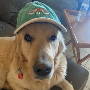 Meet your Posher, Angelica